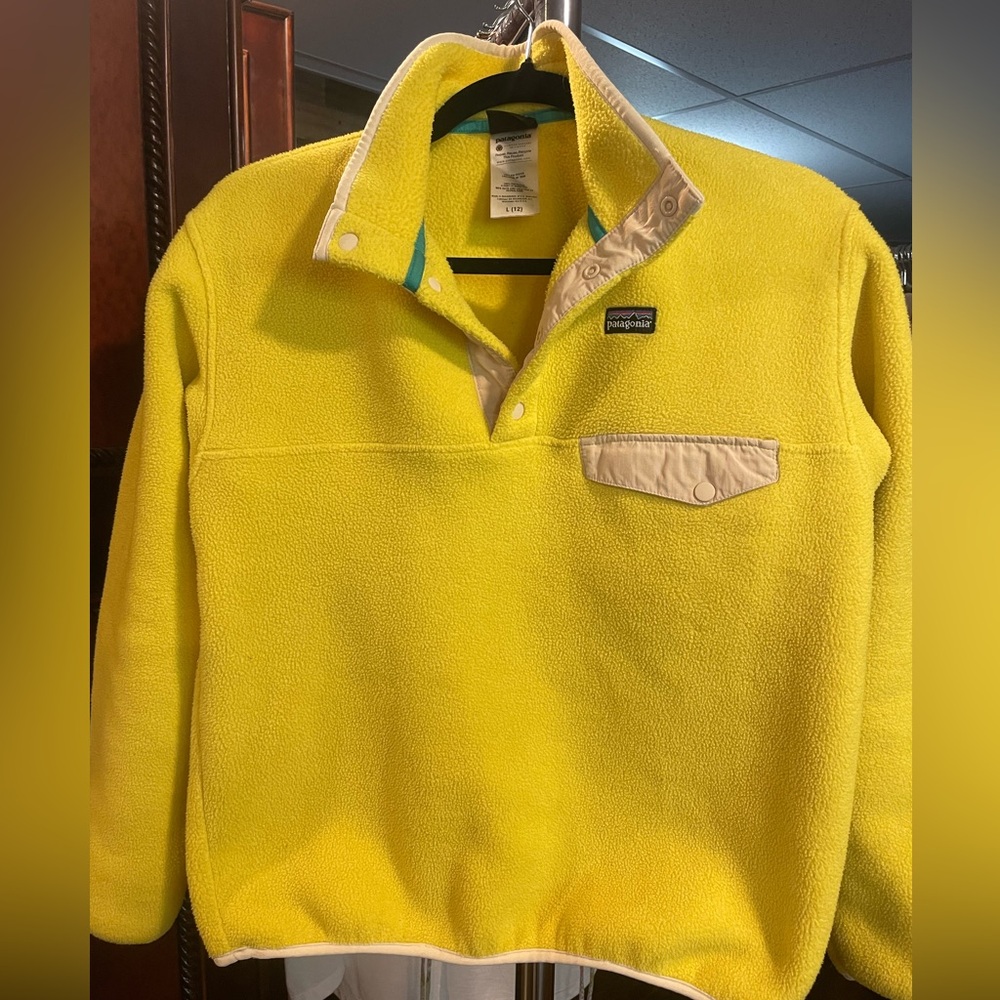 Patagonia Synchilla Fleece Snap Pullover